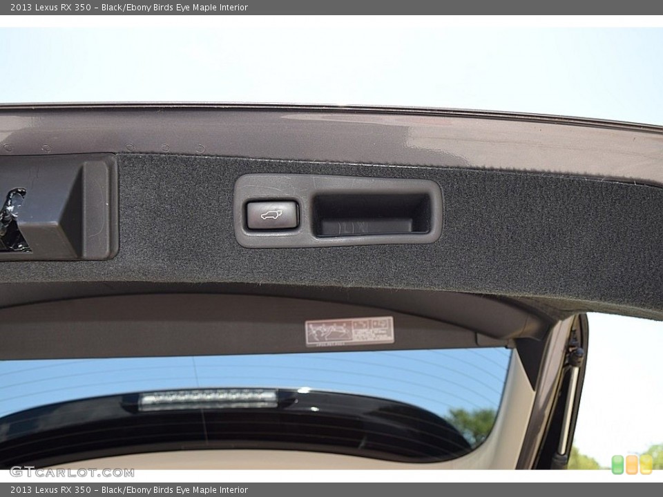 Black/Ebony Birds Eye Maple Interior Trunk for the 2013 Lexus RX 350 #142094444
