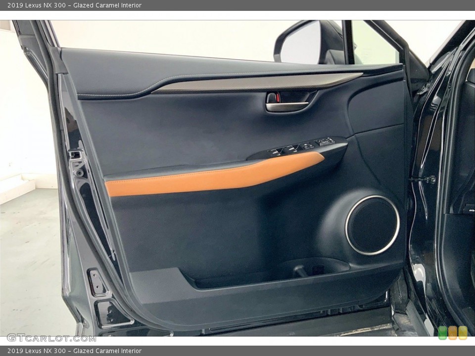 Glazed Caramel Interior Door Panel for the 2019 Lexus NX 300 #142296453
