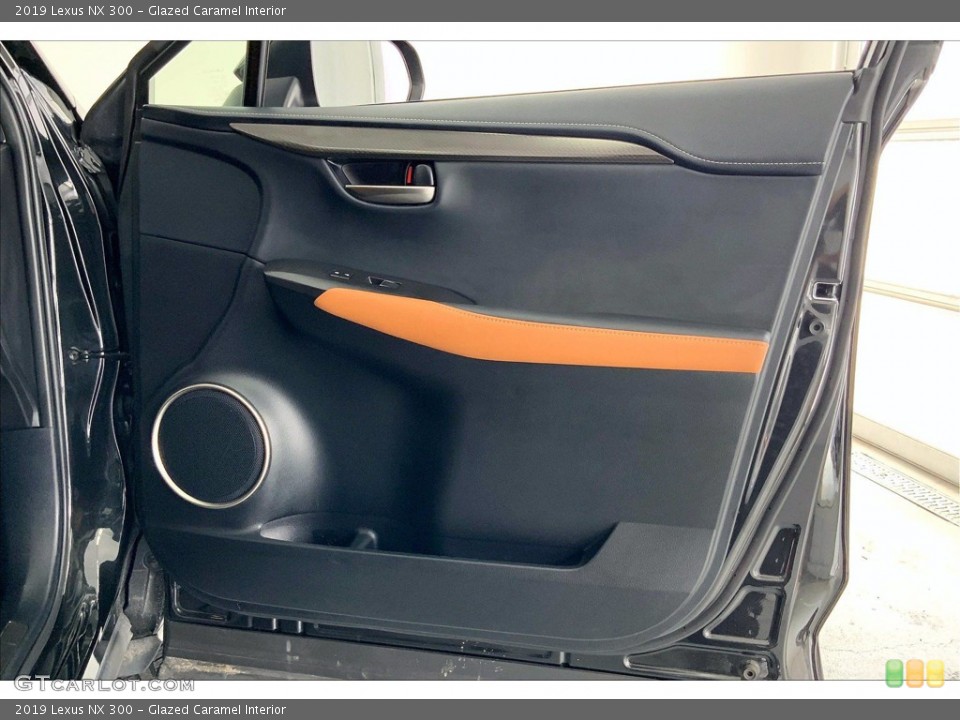 Glazed Caramel Interior Door Panel for the 2019 Lexus NX 300 #142296483