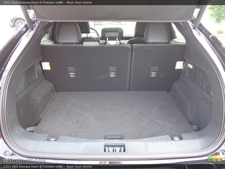 Black Onyx Interior Trunk for the 2021 Ford Mustang Mach-E Premium eAWD #142833161