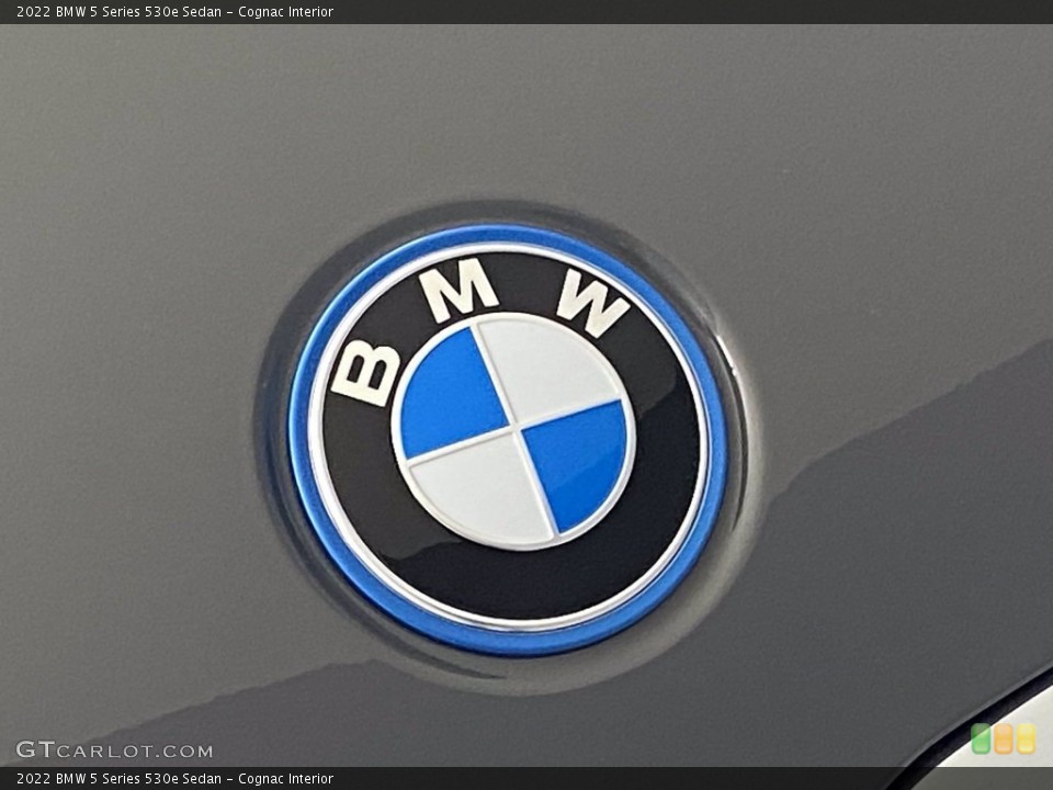 Cognac Interior Gauges for the 2022 BMW 5 Series 530e Sedan #144008016