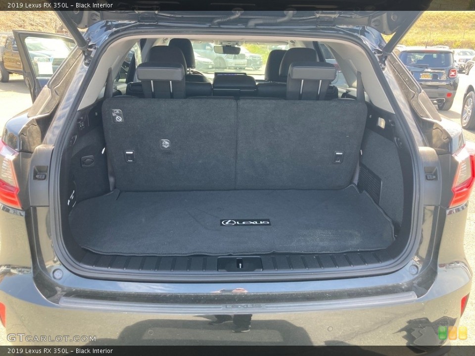 Black Interior Trunk for the 2019 Lexus RX 350L #144145413