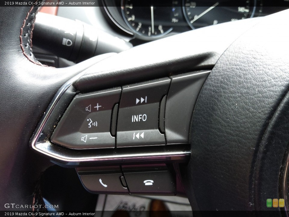 Auburn Interior Steering Wheel for the 2019 Mazda CX-9 Signature AWD #144403908