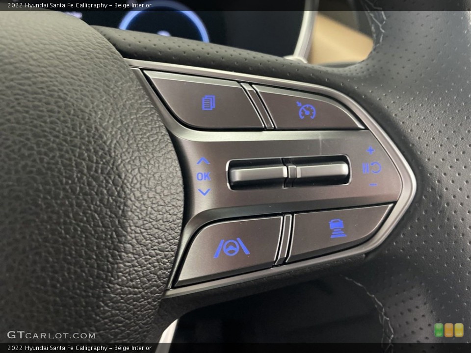 Beige Interior Steering Wheel for the 2022 Hyundai Santa Fe Calligraphy #144413509