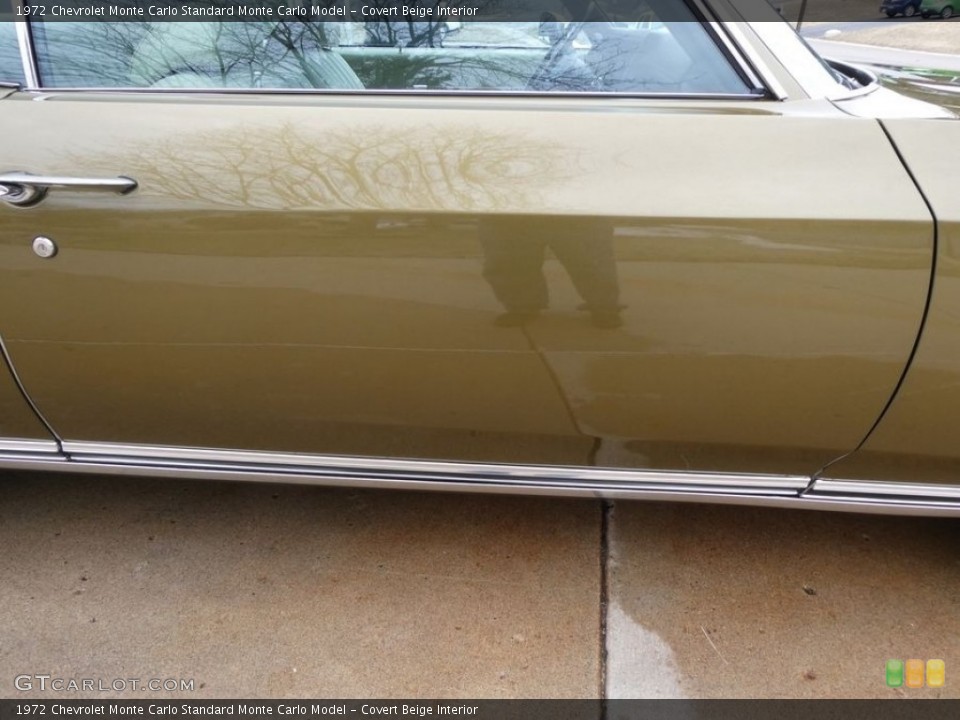 Covert Beige Interior Door Panel for the 1972 Chevrolet Monte Carlo  #144437631