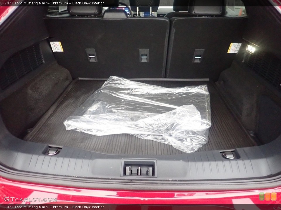 Black Onyx Interior Trunk for the 2021 Ford Mustang Mach-E Premium #145232168