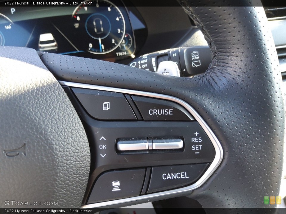 Black Interior Steering Wheel for the 2022 Hyundai Palisade Calligraphy #145403553