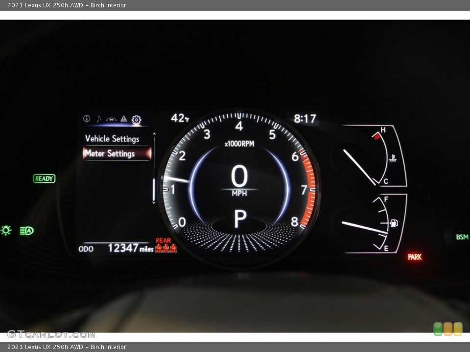 Birch Interior Gauges for the 2021 Lexus UX 250h AWD #145549765