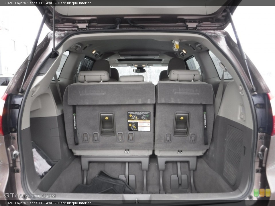 Dark Bisque Interior Trunk for the 2020 Toyota Sienna XLE AWD #145563692
