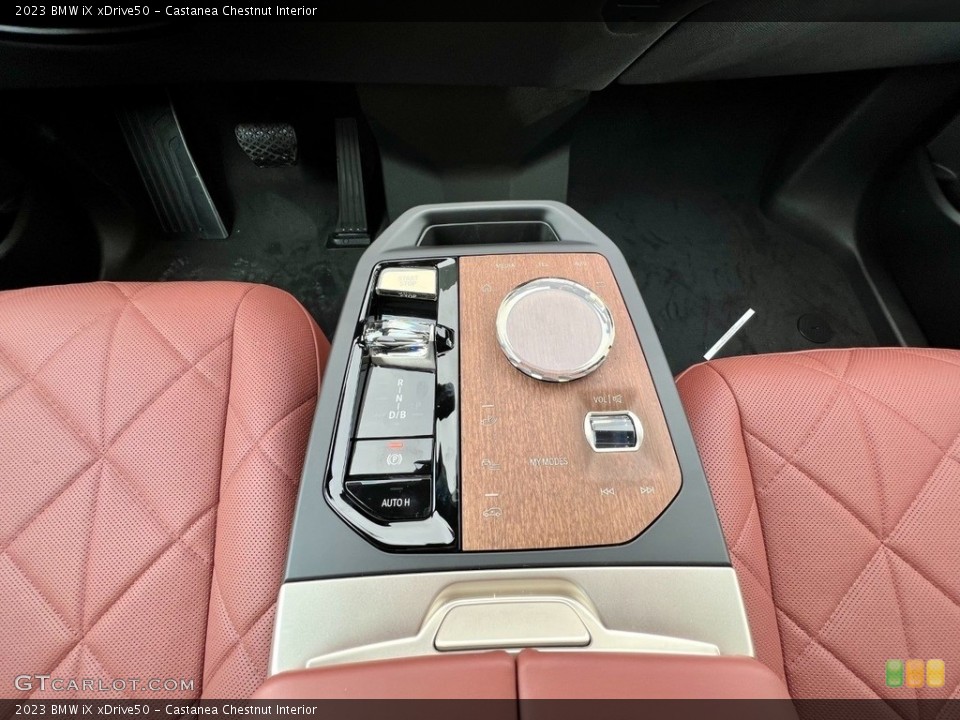 Castanea Chestnut Interior Controls for the 2023 BMW iX xDrive50 #145588103
