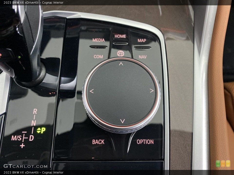 Cognac Interior Controls for the 2023 BMW X6 xDrive40i #146039009