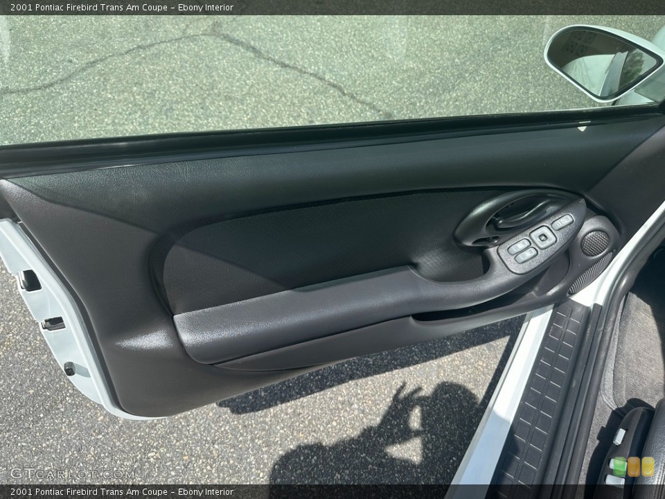 Ebony Interior Door Panel for the 2001 Pontiac Firebird Trans Am Coupe #146090132