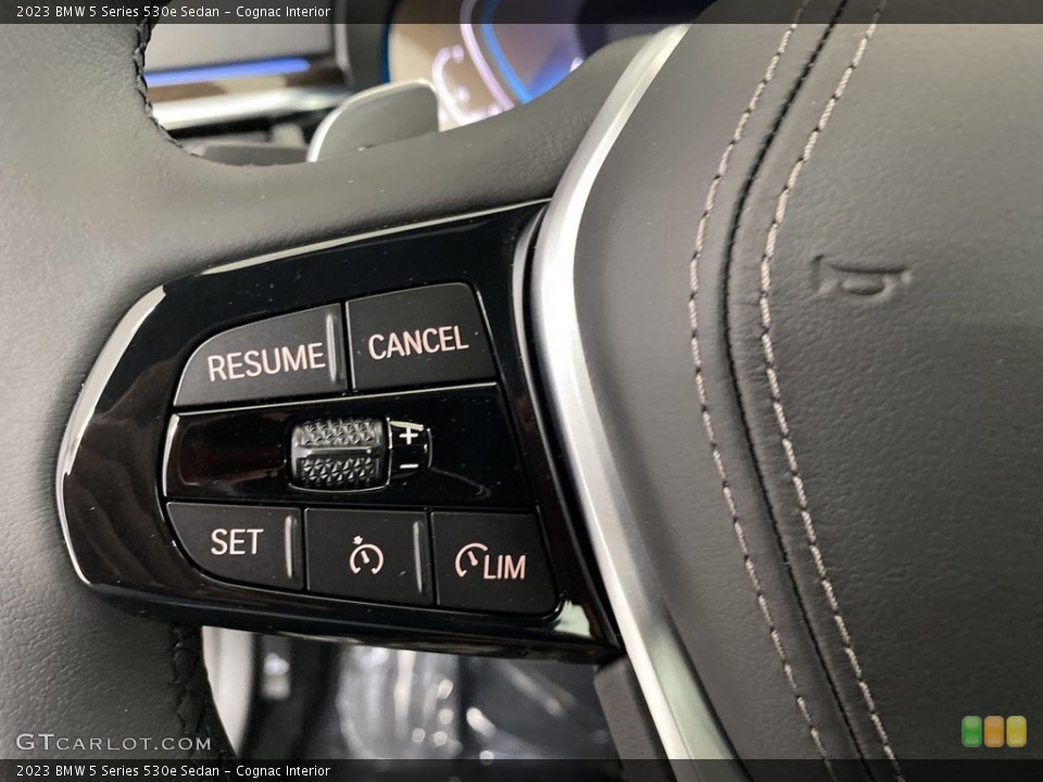 Cognac Interior Steering Wheel for the 2023 BMW 5 Series 530e Sedan #146161752