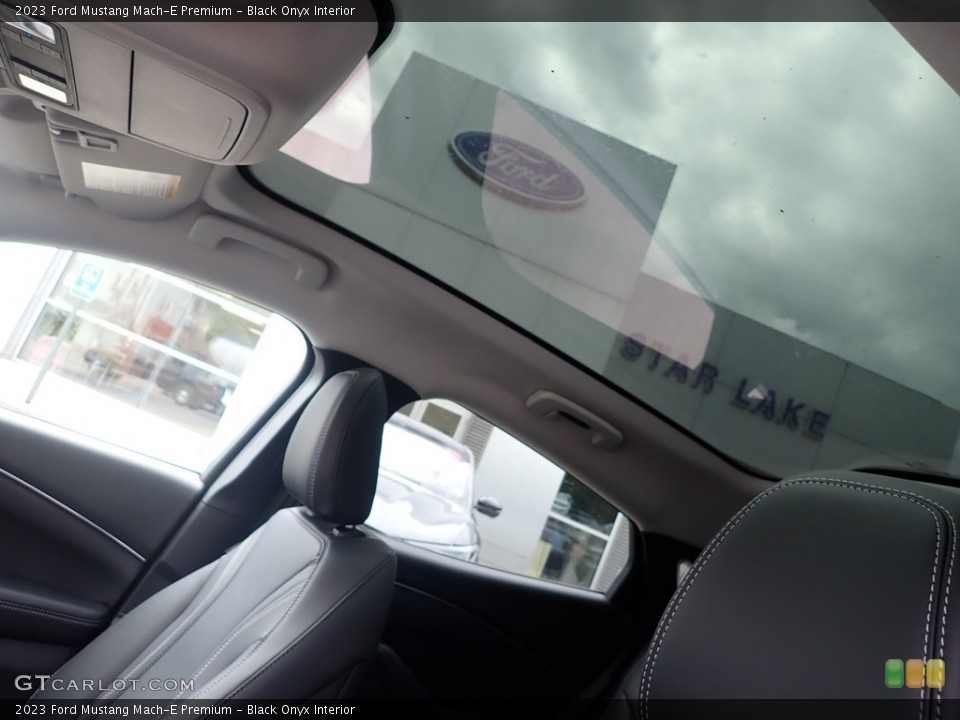 Black Onyx Interior Sunroof for the 2023 Ford Mustang Mach-E Premium #146502169