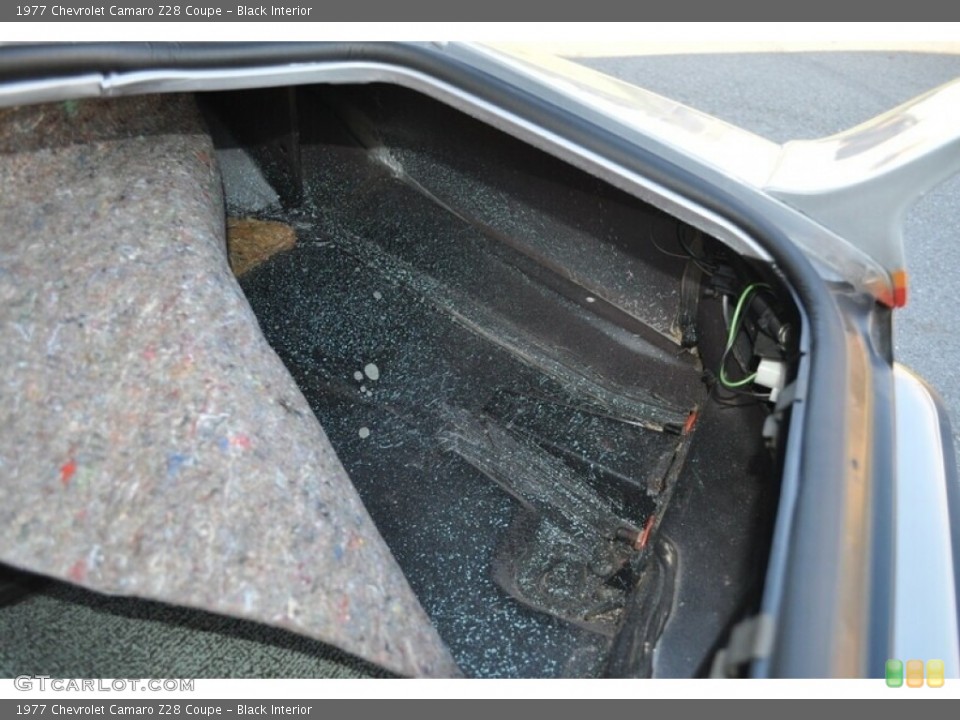 Black Interior Trunk for the 1977 Chevrolet Camaro Z28 Coupe #146559929