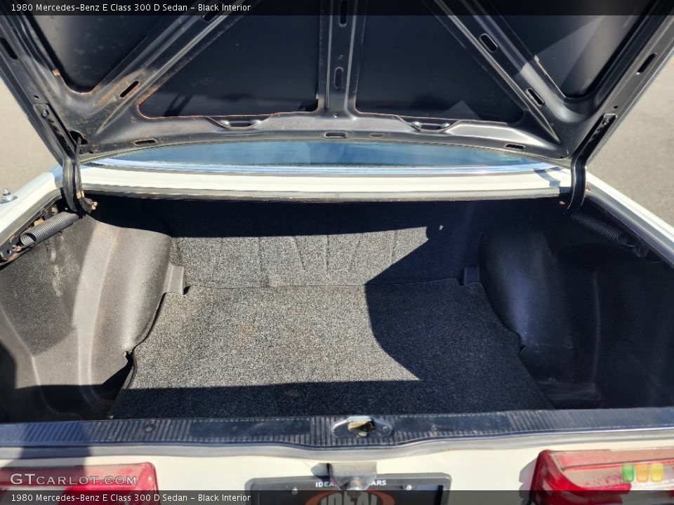 Black Interior Trunk for the 1980 Mercedes-Benz E Class 300 D Sedan #146562229