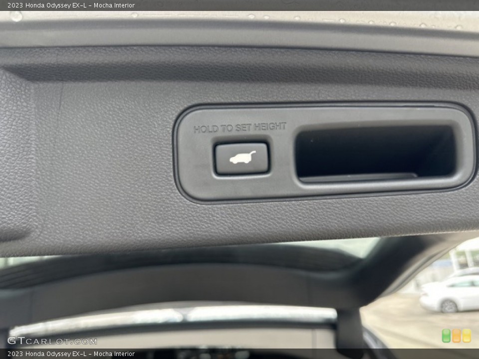 Mocha Interior Trunk for the 2023 Honda Odyssey EX-L #146594722