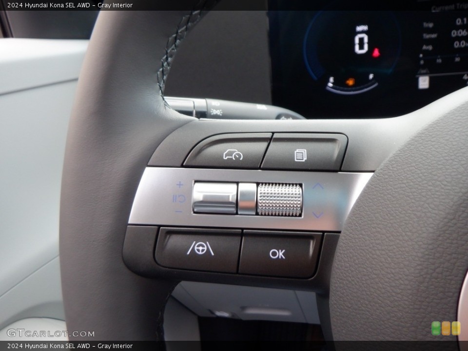 Gray Interior Steering Wheel for the 2024 Hyundai Kona SEL AWD #146741620