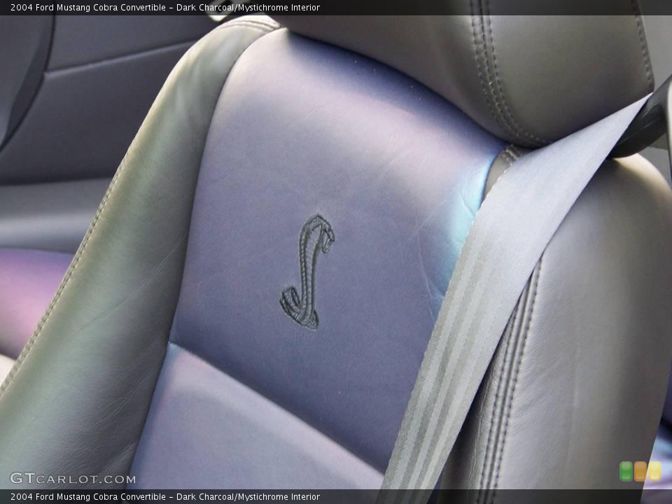 Dark Charcoal/Mystichrome Interior Photo for the 2004 Ford Mustang Cobra Convertible #15440015