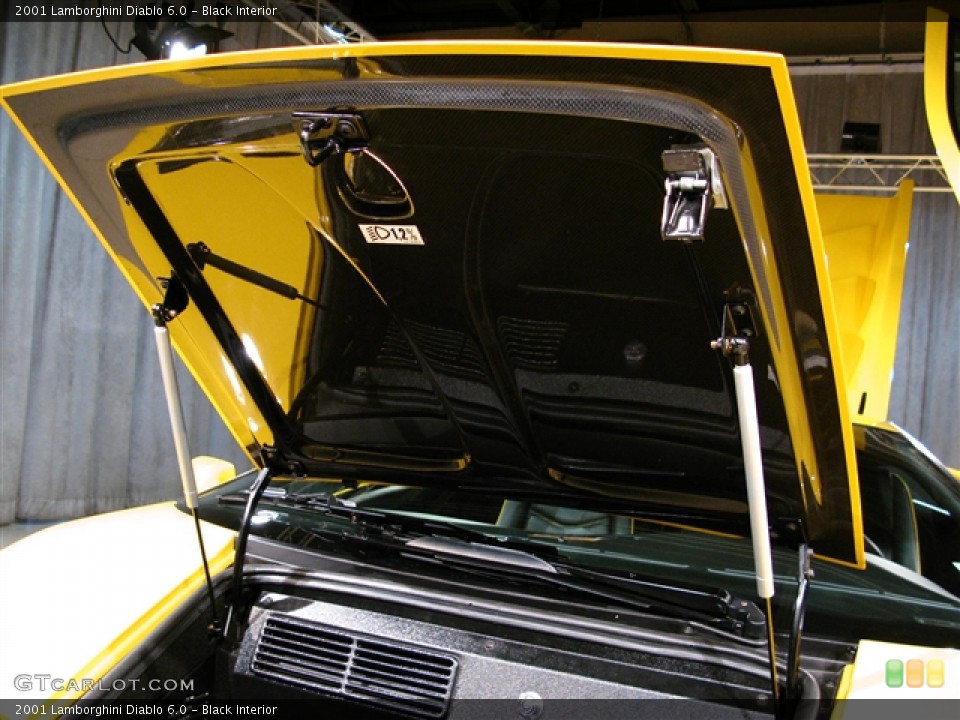 Black Interior Trunk for the 2001 Lamborghini Diablo 6.0 #275345