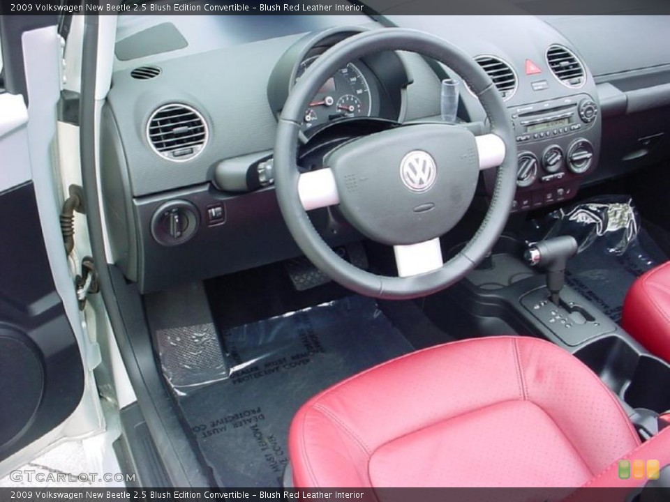 Blush Red Leather Interior Photo for the 2009 Volkswagen New Beetle 2.5 Blush Edition Convertible #38014601