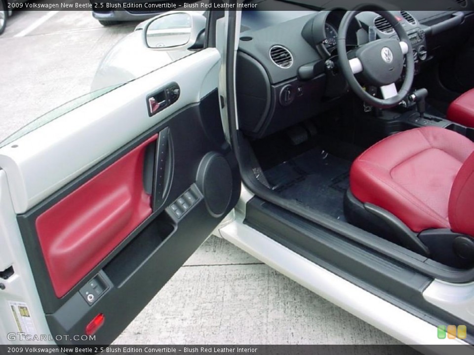 Blush Red Leather Interior Photo for the 2009 Volkswagen New Beetle 2.5 Blush Edition Convertible #38014628