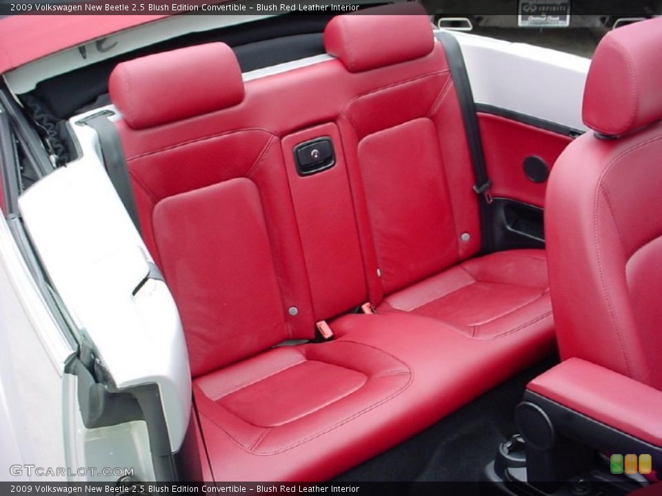 Blush Red Leather Interior Photo for the 2009 Volkswagen New Beetle 2.5 Blush Edition Convertible #38014704