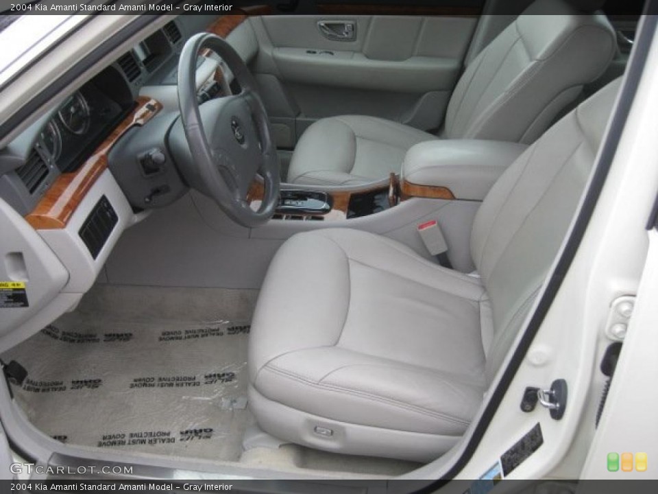 Gray Interior Photo for the 2004 Kia Amanti  #38167182