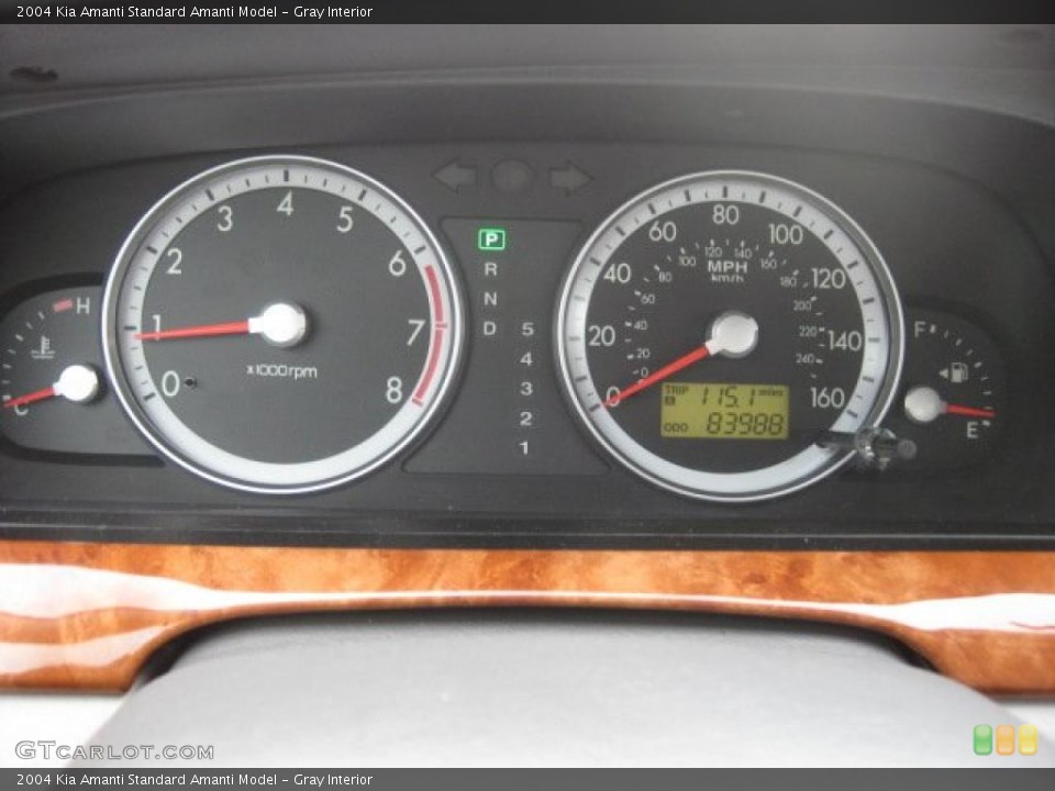 Gray Interior Gauges for the 2004 Kia Amanti  #38167354