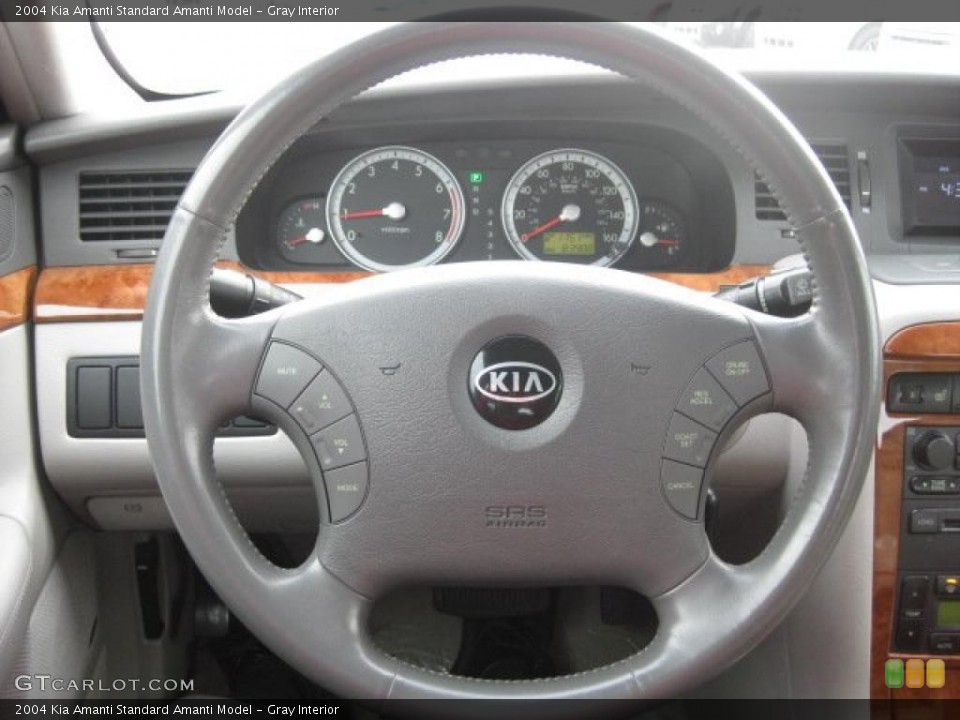 Gray Interior Steering Wheel for the 2004 Kia Amanti  #38167362