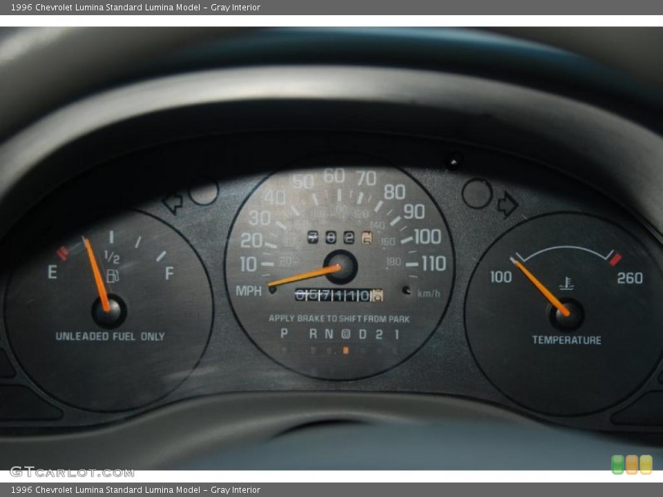 Gray Interior Gauges for the 1996 Chevrolet Lumina  #38174592