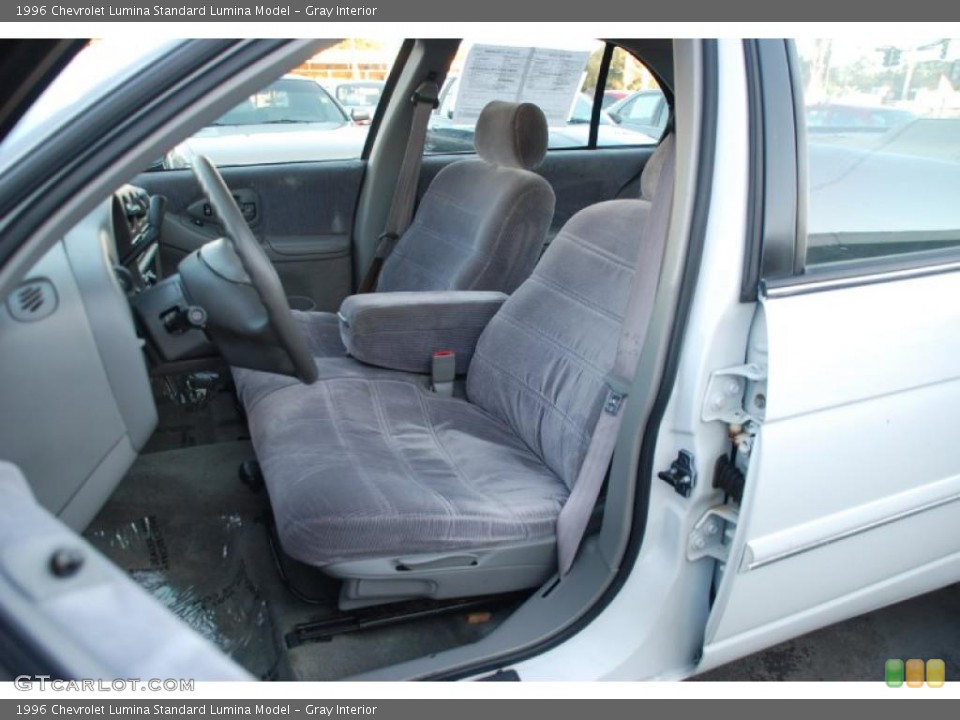 Gray Interior Photo for the 1996 Chevrolet Lumina  #38174688