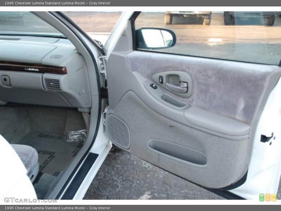 Gray Interior Photo for the 1996 Chevrolet Lumina  #38174704