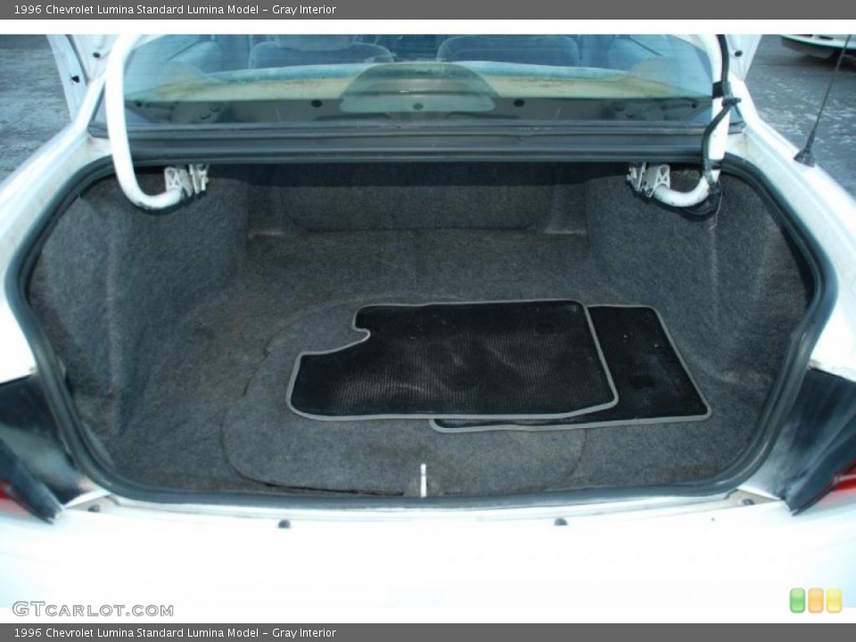 Gray Interior Trunk for the 1996 Chevrolet Lumina  #38174784