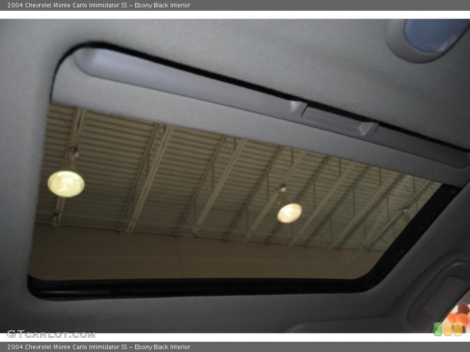 Ebony Black Interior Photo for the 2004 Chevrolet Monte Carlo Intimidator SS #38177744