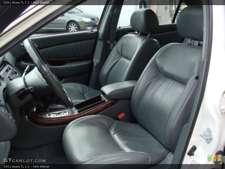 Fern Interior Photo for the 2001 Acura TL 3.2 #38245407