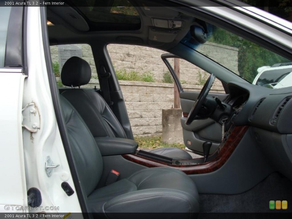 Fern Interior Photo for the 2001 Acura TL 3.2 #38245459