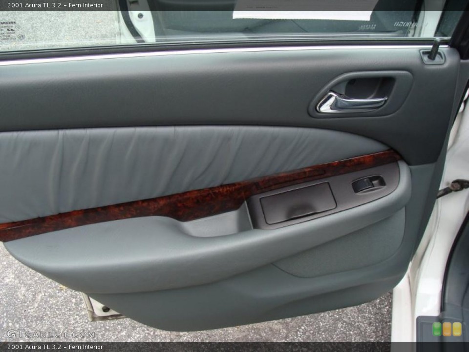 Fern Interior Photo for the 2001 Acura TL 3.2 #38245495