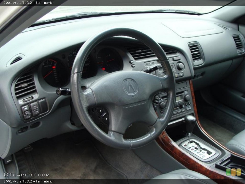Fern Interior Dashboard for the 2001 Acura TL 3.2 #38245571