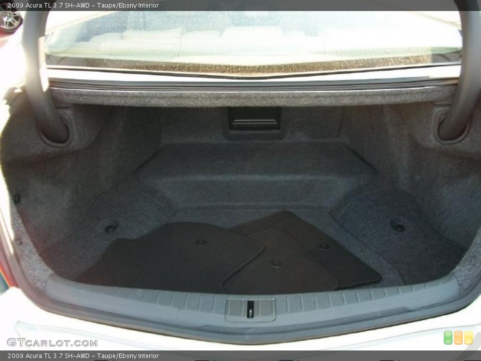 Taupe/Ebony Interior Trunk for the 2009 Acura TL 3.7 SH-AWD #38388675