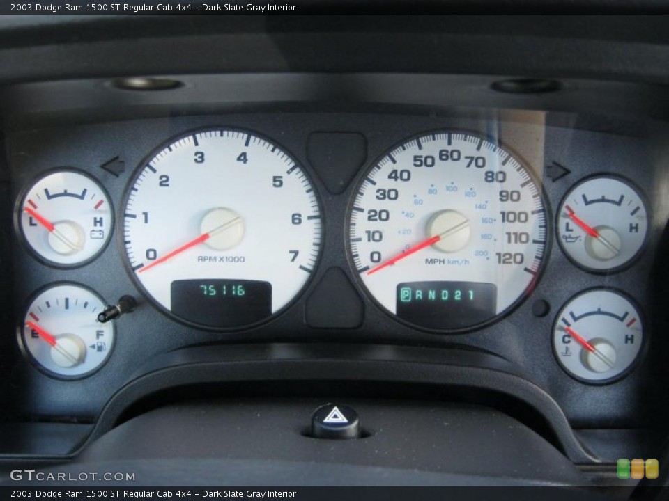 Dark Slate Gray Interior Gauges for the 2003 Dodge Ram 1500 ST Regular Cab 4x4 #38530935