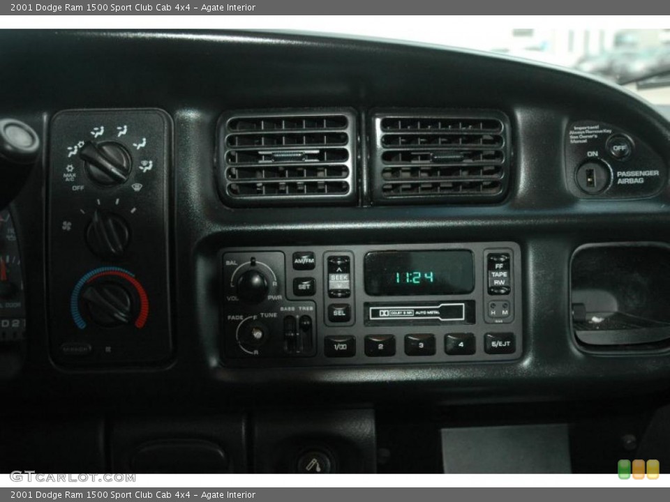 Agate Interior Controls for the 2001 Dodge Ram 1500 Sport Club Cab 4x4 #38618546