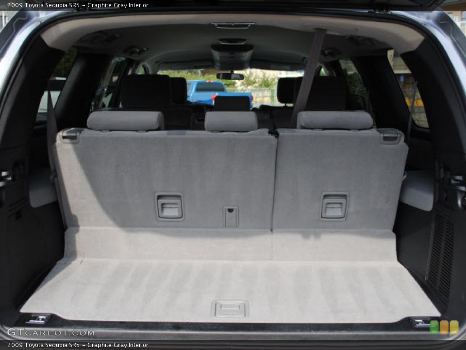 Graphite Gray Interior Trunk for the 2009 Toyota Sequoia SR5 #38678718