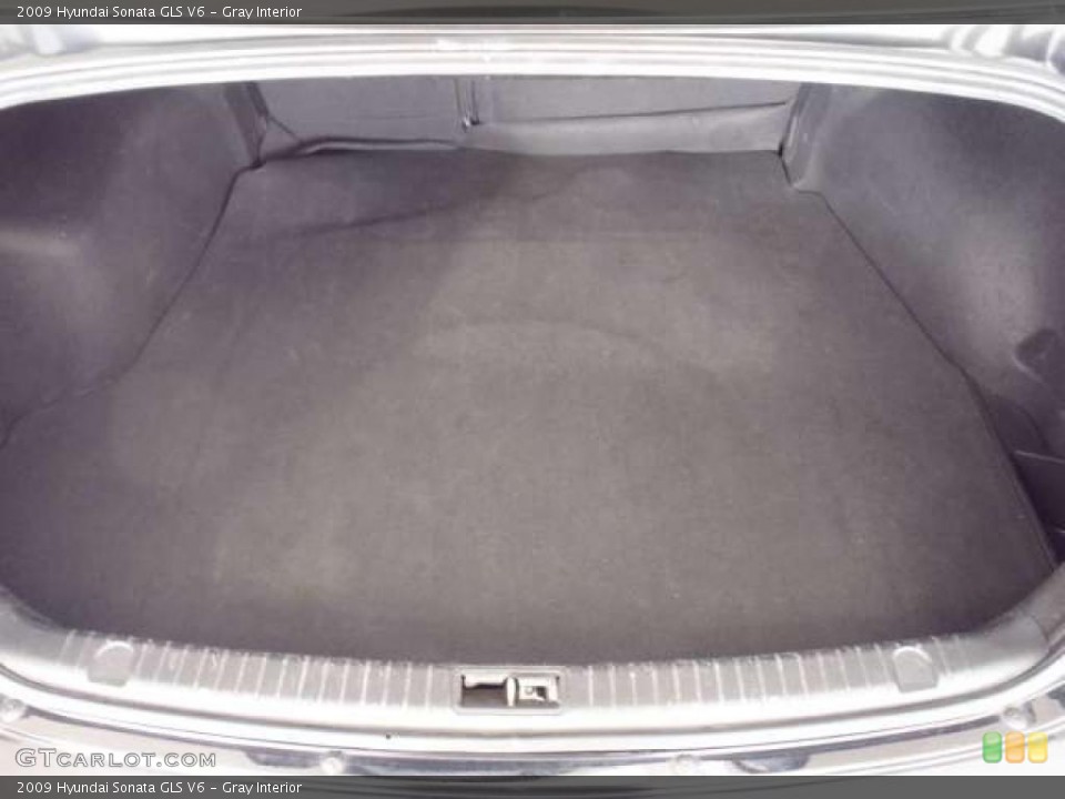 Gray Interior Trunk for the 2009 Hyundai Sonata GLS V6 #38686882