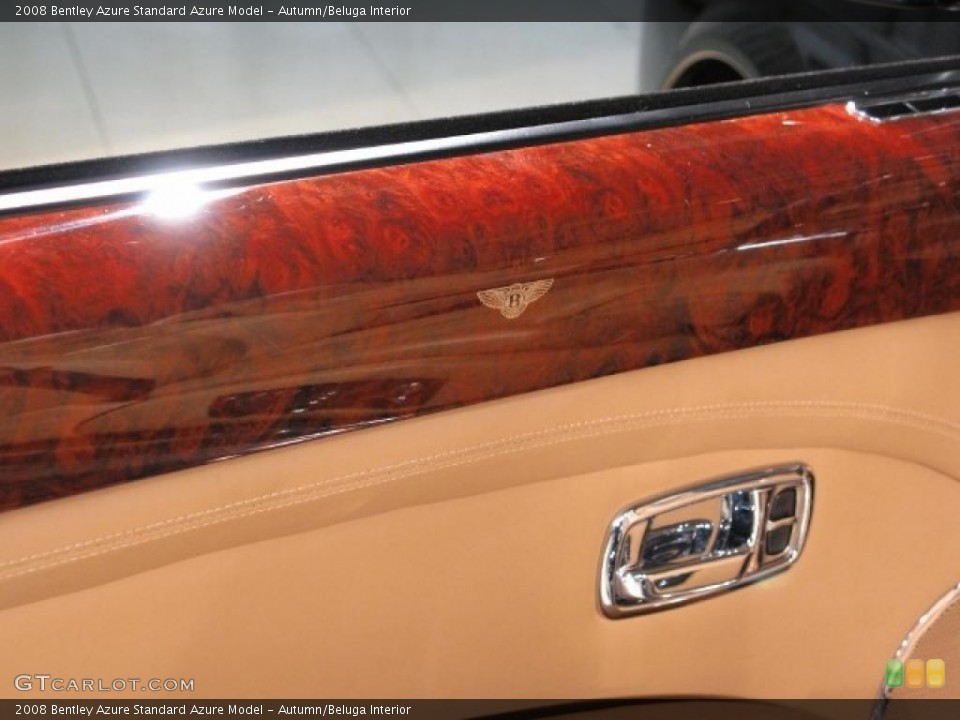Autumn/Beluga Interior Door Panel for the 2008 Bentley Azure  #38689084