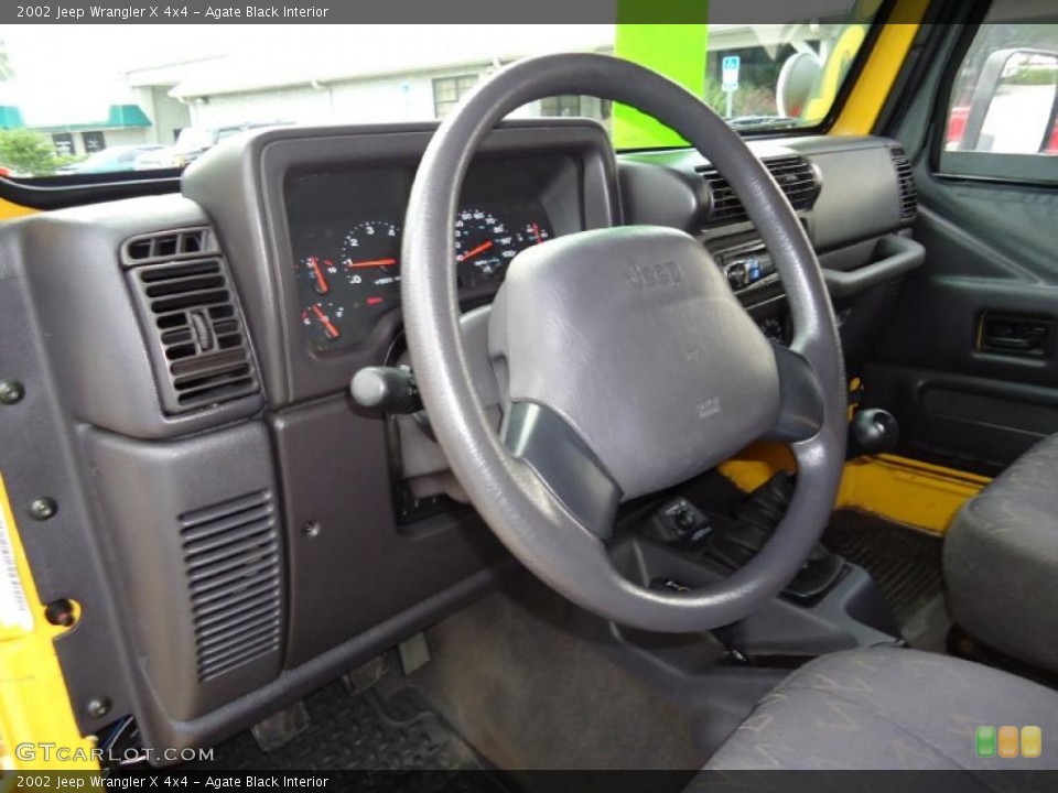 Agate Black Interior Photo for the 2002 Jeep Wrangler X 4x4 #38728323
