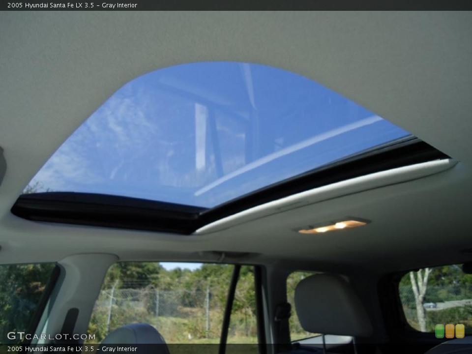 Gray Interior Sunroof for the 2005 Hyundai Santa Fe LX 3.5 #38959670