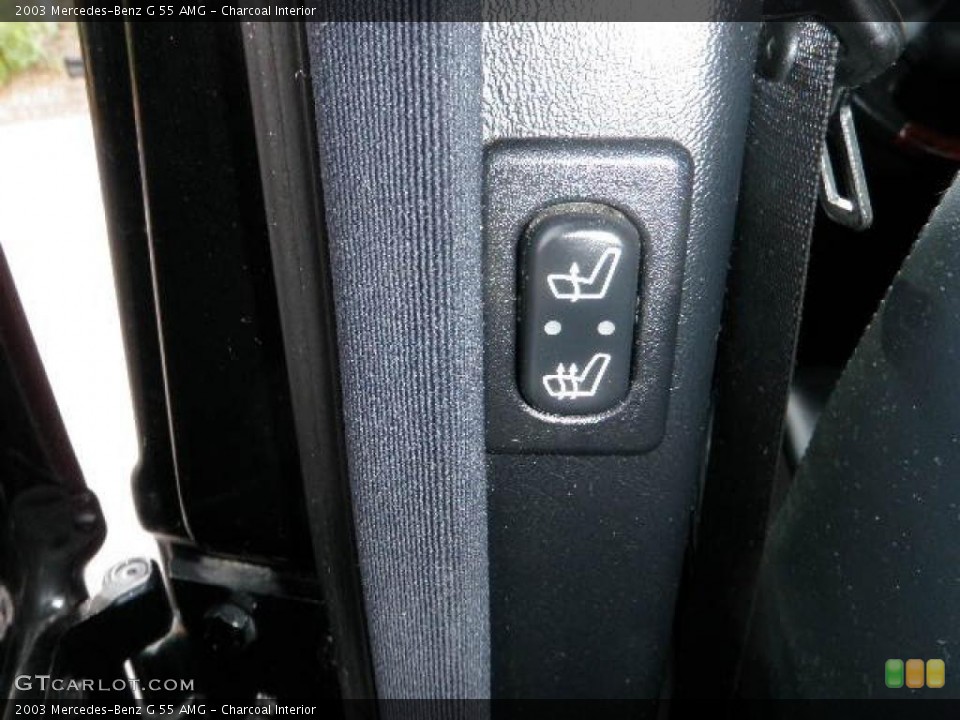 Charcoal Interior Controls for the 2003 Mercedes-Benz G 55 AMG #39188511