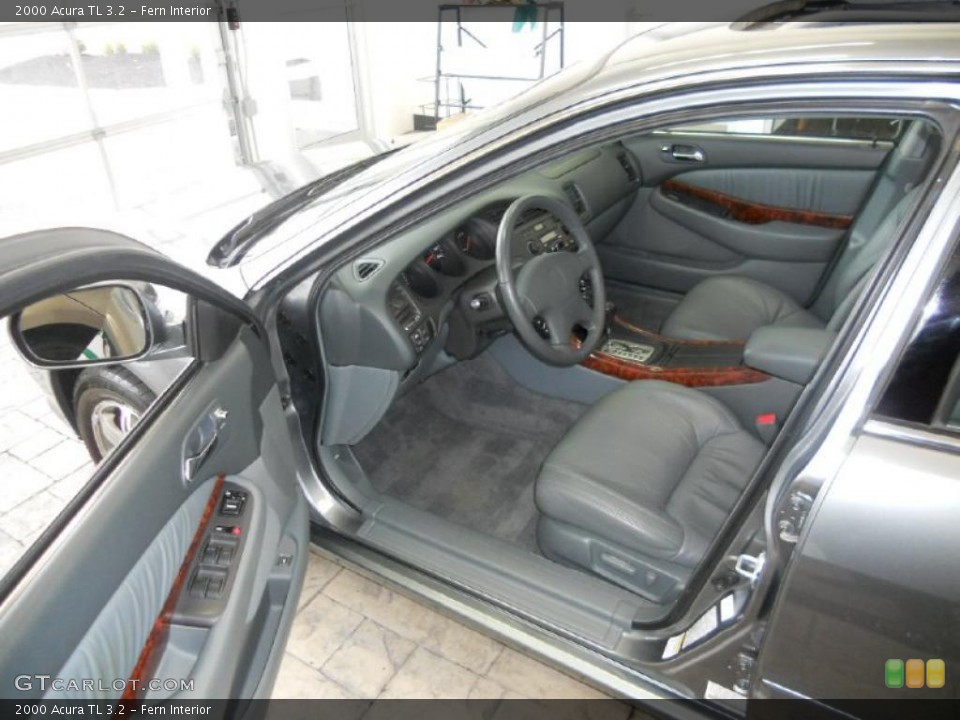 Fern Interior Photo for the 2000 Acura TL 3.2 #39416517