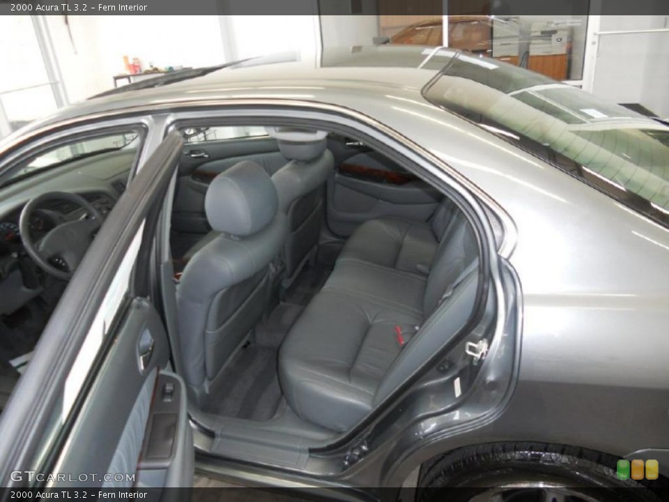 Fern Interior Photo for the 2000 Acura TL 3.2 #39416533